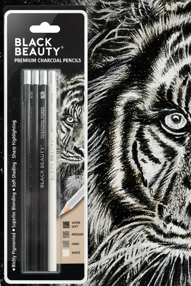 Premium charcoal pencil set with super soft, medium, hard and white grades