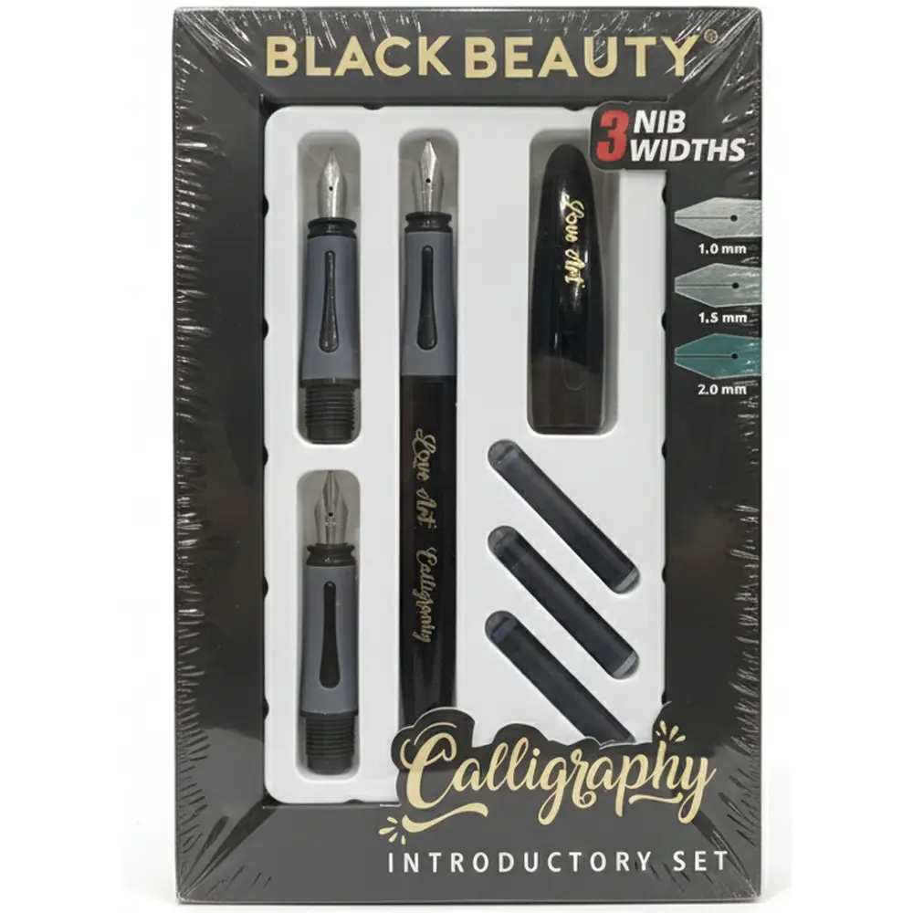 calligraphy fountain pen for beginners