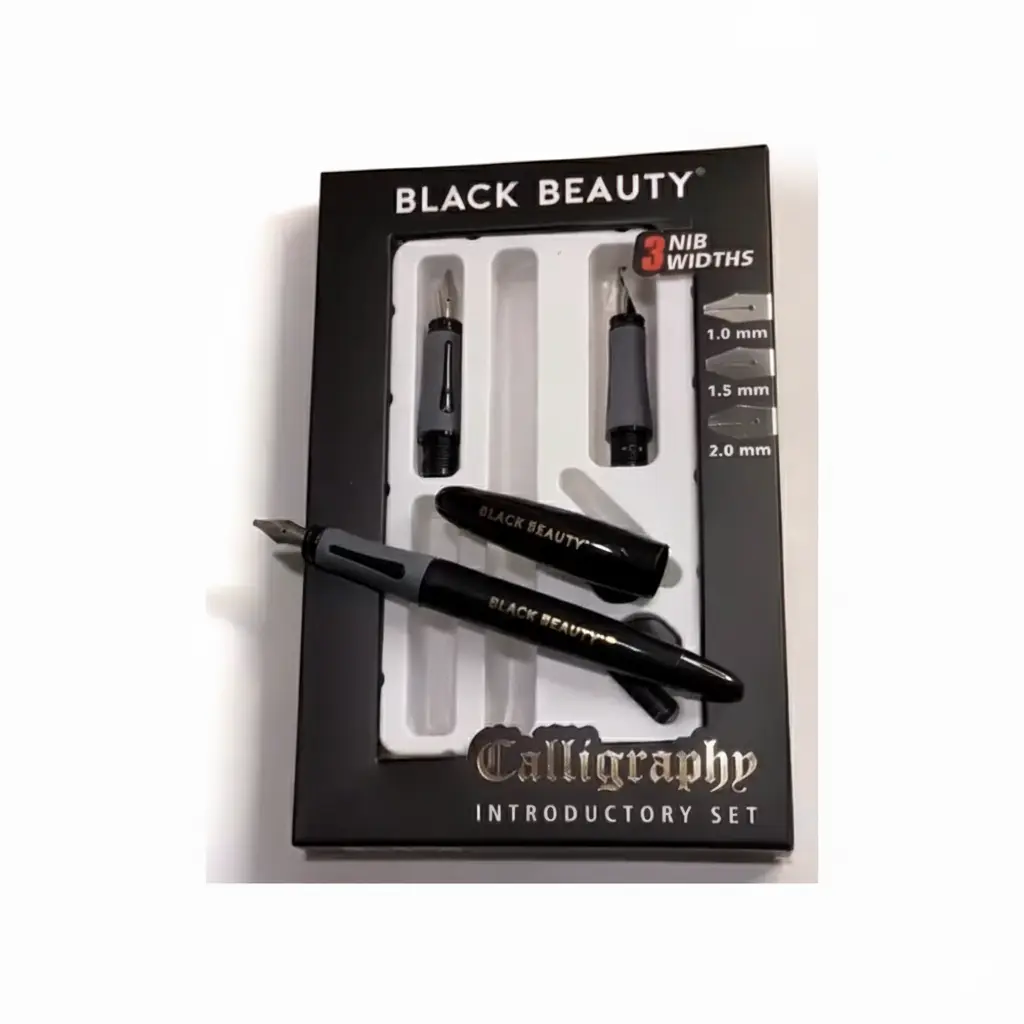 calligraphy fountain pen