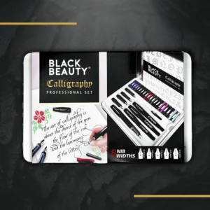 Calligraphy professional set with 4 pens, 5 nibs and 20 cartridges