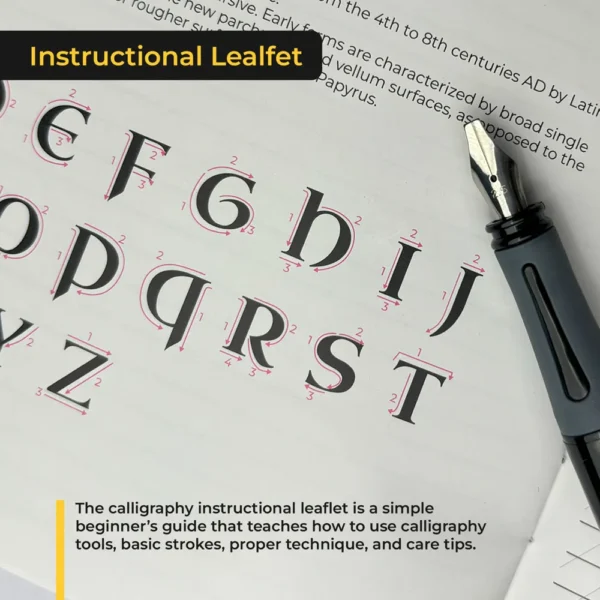 Elegant Black Beauty fountain pen bodies