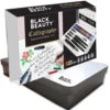 Calligraphy Professional Set