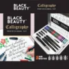 Calligraphy Professional Set