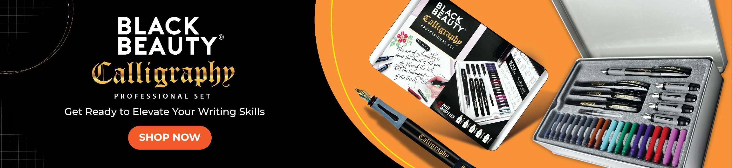 calligraphy professional set