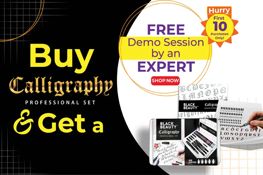 professional calligraphy set
