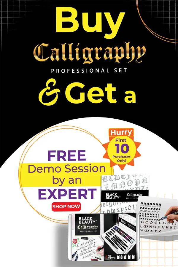 professional calligraphy set